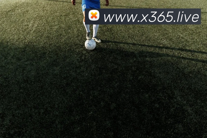 bet365体育网址服务体系